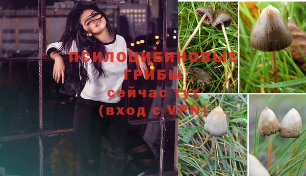 гашик Верхний Тагил