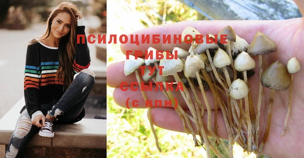 гашик Верхний Тагил
