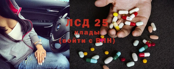 сатива Верея