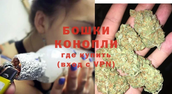 сатива Верея