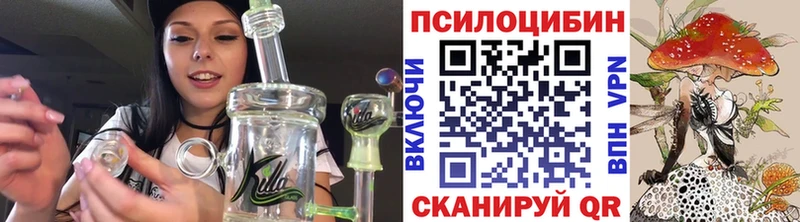 Галлюциногенные грибы Psilocybine cubensis Вязники